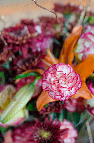 wedding portland photography photograhper